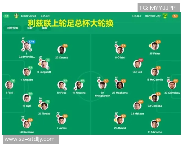 水晶宫与利兹联对决前瞻分析及双方近期状态评估