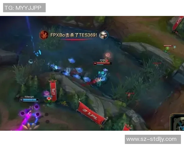 TES团队协作表现的数据分析与提升策略探讨