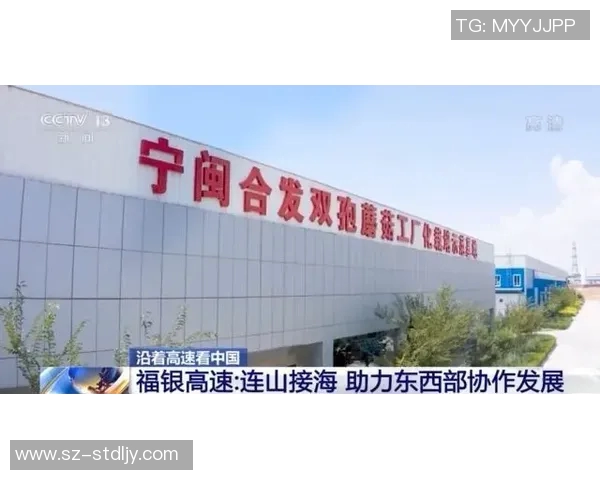重庆街舞队速度对比独家解读揭示舞者间的竞争与合作关系