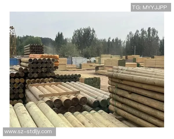 防腐木材的应用与市场前景分析：环境友好型建筑材料的创新发展趋势